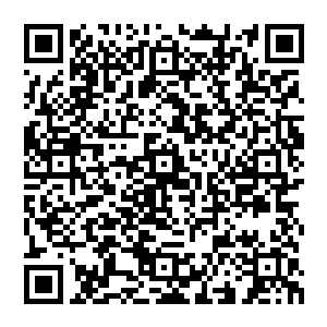 所以每次经过的时候一些年轻的猎手们便只能盯着眼睛看着那草丛里一堆一堆的圆圆的大白蛋二维码生成