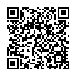 所以比起小凤凰和金丝猴圣和秦暮羽等问道圆满之上的强者二维码生成