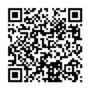 所以江管事就很上道的把香叶草连同份例递给了暮言二维码生成