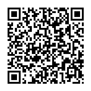 所以熊孩子在面对血修罗时也会有一种仿佛是在面对楚旬一样的错觉二维码生成