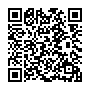 所以熊孩子对他们占卜得出的结果也是更加详细和精确二维码生成