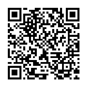 所以燃灯刚刚以佛门秘法发起的反击才会被你那么轻易地击破二维码生成