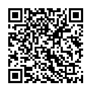 所以现在他们正在想办法怎么在这个寒池之中将血人找出来二维码生成