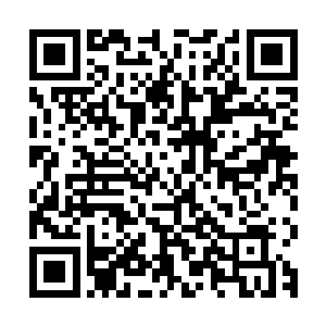 所以现在北狐芸的剑法和真正实力和同辈已经不是一个等级的了二维码生成