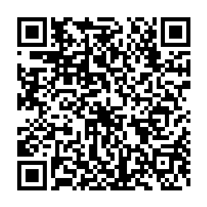 所以现在各大神殿都在抓……寻找真正觉醒了主神血脉的神血战士二维码生成
