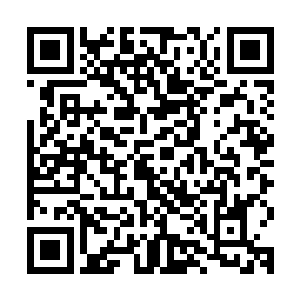 所以现在看到眼前的一切叶璃只觉得满足而没什么心痛的感觉了二维码生成