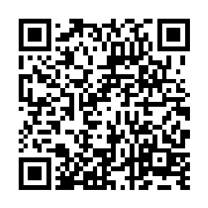 所以现在要做的是用最小的代价将自己的威信竖立起来二维码生成