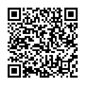 所以珍妮弗的病情到底是会在票选期间恶化甚至是最终去世二维码生成