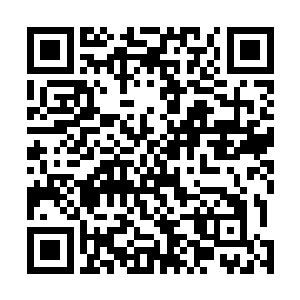 所以用那些低级的玉符攻击的时候也是发挥了不小的作用二维码生成