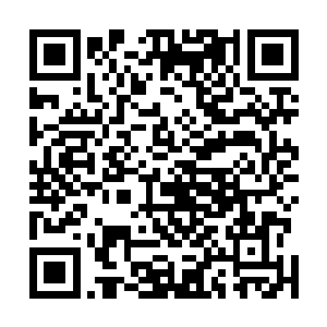 所以省委组织部也没有很积极地解决湖州的组织部长问题二维码生成