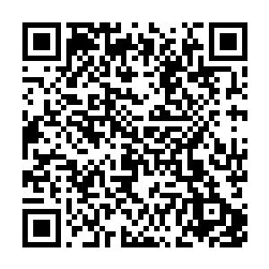 所以看到赤血暴君挣脱了荆棘藤蔓的桎梏他们也没有露出任何惊讶之色二维码生成