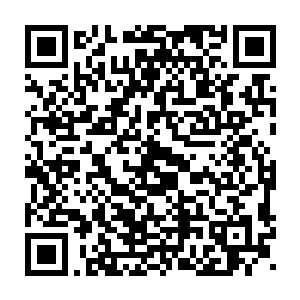 所以等到原本暗黑一片的舞台突然用翻飞的五彩灯光开始无声晃动二维码生成