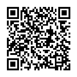 所以系统此刻也根本无法确定这爱丽丝跟系统到底有何联系二维码生成