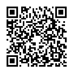 所以苏凡觉得赵大壮大概的位置应该是在北城区没差了二维码生成
