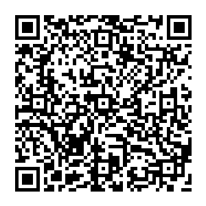 所以说 很多时候尊贵与否都是相对的 有可能你眼里牛逼的不行的人 在别人面前其实也就跟一条狗似的二维码生成