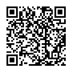 所以说现在的苏凡根本没有任何的实力跟着自己等人斗二维码生成