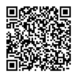 所以赵家杀手虽然第一时间干掉第一扇城门的守卫并且开启第一扇城门二维码生成