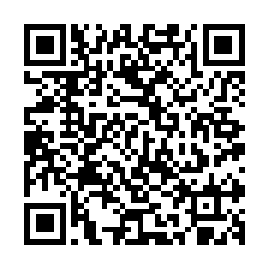 所以这一掌下来也并没有给楚旬的身体造成任何实质性的伤害二维码生成