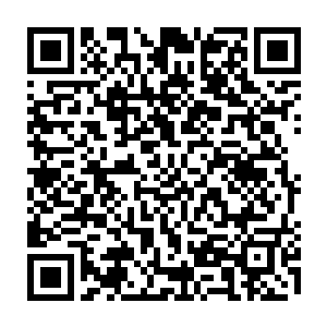 所以这两天里长生和师叔一直神神叨叨的就是一直跑去元家跟他们商量去了二维码生成