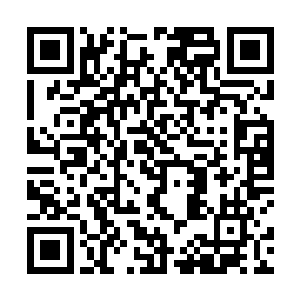 所以这个敢爱敢恨的美女才敢做出这种主动表白的事情二维码生成