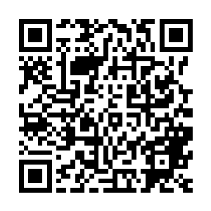 所以这奶牛之王第二次恢复的效果也跟第一次有了明显的差别二维码生成