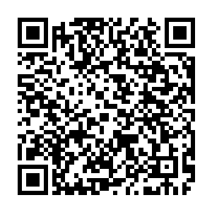 所以这次将他们觉得中意的和勉强过的去的所有商政名流以及那些豪门世家二维码生成