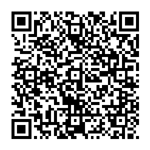 所以这次贝尼特斯盯上了在今年上半年南美u20冠军杯和今年夏天在墨西哥u17世界杯中表现出二维码生成