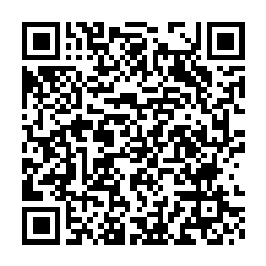 所以这辟寒大王也无法使用这个最简单快捷的方法来除掉体内的血神子二维码生成