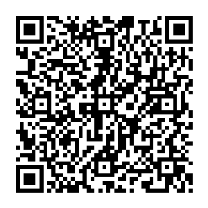 所以通过这条曲线和数列划分的战士位阶才能获得所有人族和所有强者的一致认同……二维码生成