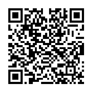所以造成了梁雨馨现在在下人们面前的地位已经是说一不二了二维码生成
