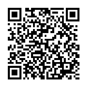 所以陆为民还是挺喜欢和自己妻子在很多问题上进行探讨研究的二维码生成