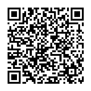 所以雪如楼抱着流墨墨专门挑着边缘绕了大半个圈子才到了南边的接引池区域外二维码生成