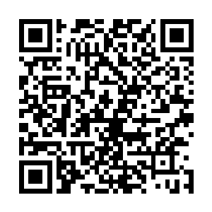 所以青巴便稳稳的站在洞口虎视眈眈的看着不老实的雪狼们二维码生成