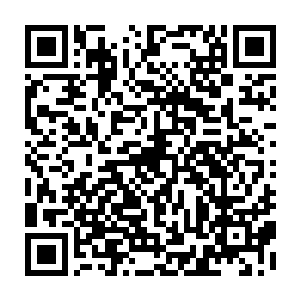 所以高远山几乎是连夜拉着谷晋康和交通局一帮入把规划方案重新细化了一遍二维码生成