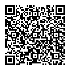所以龙战带走了部落一半的勇士因为有俩人合理的安排守卫和打猎几乎和平时没什么两样二维码生成