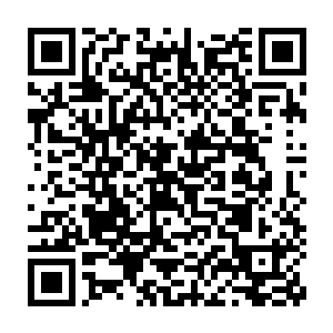 所得结果应该与那几位七品开天在不回关中感受到的信息相差无几二维码生成