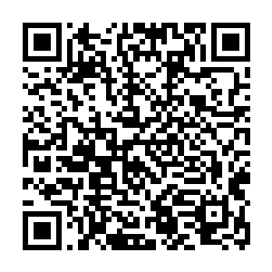 所有上校以上的军官都一个个面色严肃的坐在了会议室的那张长桌的两侧二维码生成