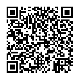 所有人的目光在这一刻都一瞬不瞬的盯着高空中的帝王神器和皓月神殿二维码生成