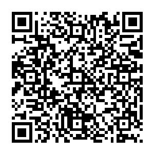 所有人都不敢相信 赵纯良竟然用了十几个小时 从五十一楼 硬生生的打到了九十楼二维码生成