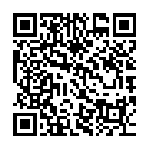 所有人都在自己手动计算着那条黄金数列后面会走到哪一步――二维码生成