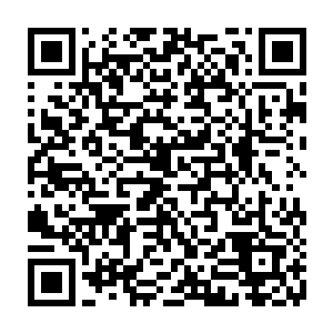 所有人都期待宁海大学代表队能够在比赛中狠狠地教训一番东京大学代表队二维码生成