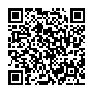 所有依附在他们麾下的人全都是可以任由他们践踏残杀的畜牲二维码生成