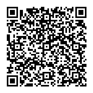 所有国安局探员全部将身子绷得直直的 沒有任何人能想到 2号首长竟然会离开中南海 來到这里二维码生成