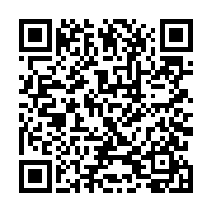 所有我猜他们一定有一种大规模快速种植特殊能量的方法二维码生成