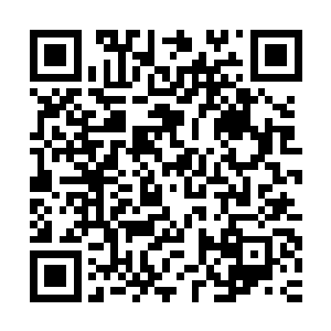 所有拍卖的款项都将捐献给祝南镇的小学和养老院用来改善条件二维码生成