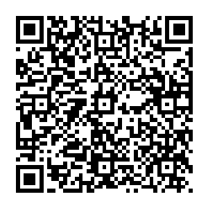 所有的员工们总算是明白了为什么最近自家总裁总是摆出一副别人欠了他二五八万似的表情二维码生成