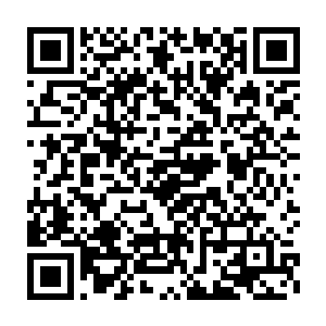 所有的演示设备可是都经过研究院的工程师在发布会前检查测试过的二维码生成