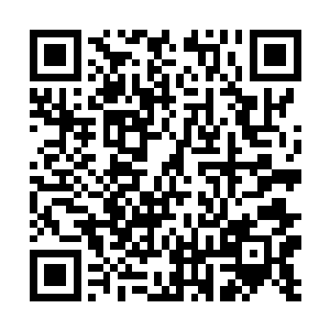 所有的生物看着它们的时候无不都是敬畏万分的……二维码生成