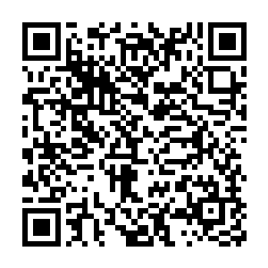 所有记者都将这次走秀的全过程通过各种设备传送回了自己的公司二维码生成