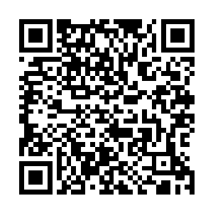 所有这些案件或多或少或明或暗都牵扯到一个家族――梅家二维码生成